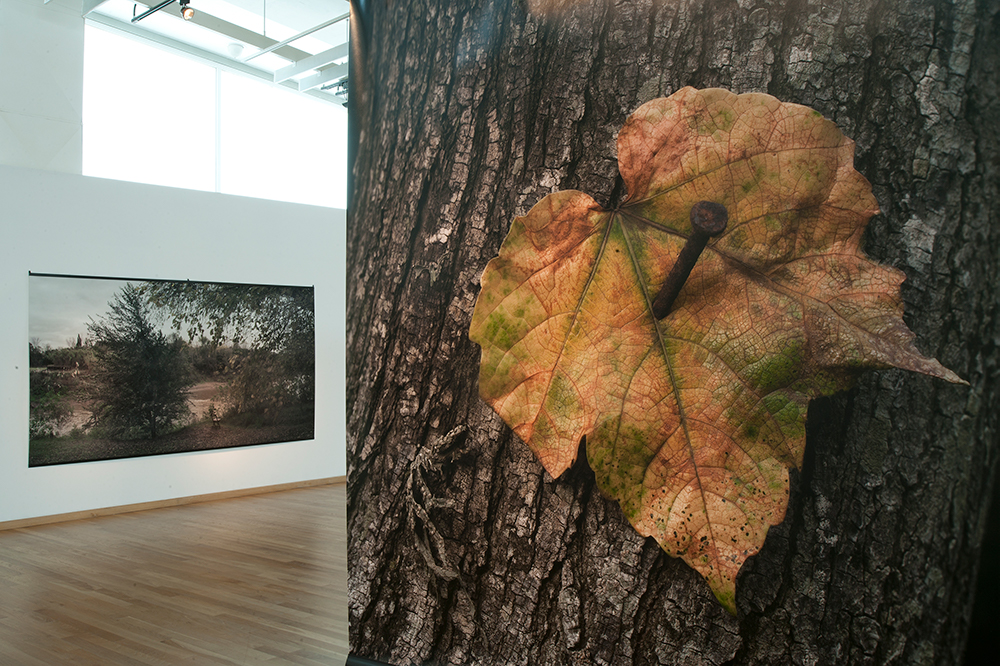 Exposición en la Sala PAyS - Parque de la Memoria