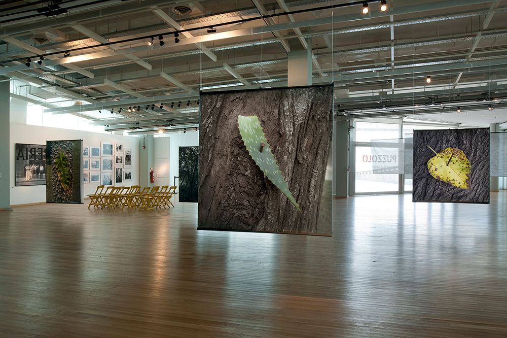 Exposición en la Sala PAyS - Parque de la Memoria